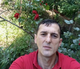 Dimitri Aibov, 41, Tbilisi