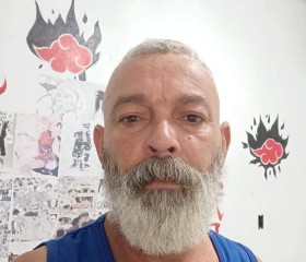 Vitor Andrade, 49 лет, Rio Claro
