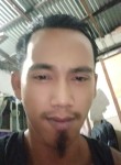Aldo, 28 лет, Kota Medan