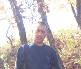 Владимир, 44 года, Партизанск