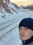 Дамир, 32 года, Бишкек