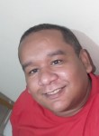 Netinho, 32 года, Rio de Janeiro