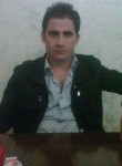 Mehmet, 36 лет, Siirt