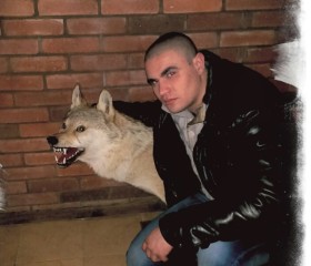 Ярослав, 31 год, Самара