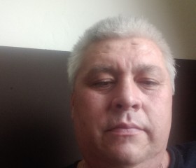 Алишер, 46 лет, Ногинск