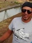 Luis, 43 года, Zamora de Hidalgo