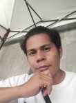 Jamesmark, 30 лет, Dumaguete