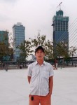 Phan vinh, 44 года, Thành phố Hồ Chí Minh