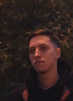 Denis, 28, Russia, Nizhniy Tagil