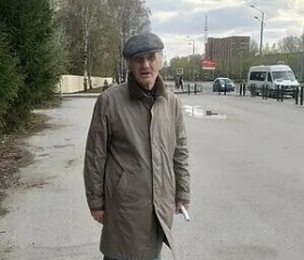 Николай, 74 года, Алтайский