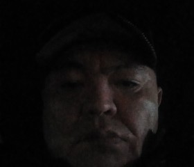 Азамат, 53 года, Бишкек