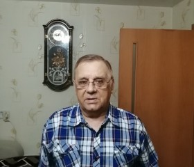 Анатолий, 77 лет, Артем