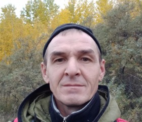 Mars, 45, Bolgar