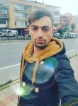 lazoğlu, 29 лет, Bafra
