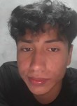 Andrew, 19 лет, Guayaquil