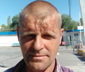 Михаил Григорьев, 50 лет, Волгоград