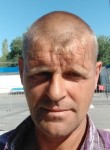 Михаил Григорьев, 51 год, Волгоград
