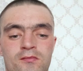 Илья, 28 лет, Михайловск (Свердловская обл.)