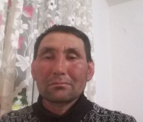 Руслан, 53 года, Шымкент