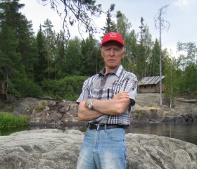 Виктор, 74 года, Приозерск