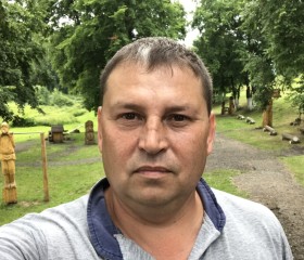 Николай, 44 года, Можга