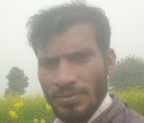 Dev dhakad, 31 год, Shivpurī