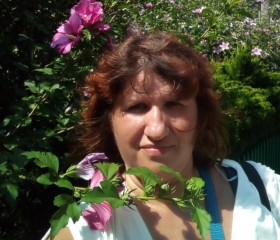 Оля, 41 год, Кременчук