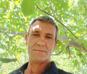 Евгений Гущин, 49 лет, Краснодар