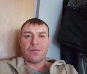 Павел Мирошин, 41 год, Свободный