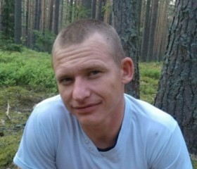 Василий Нилов, 36 лет, Жарковский