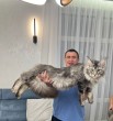 Рик