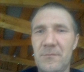 Константин, 44 года, Вяземский