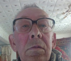 Николай, 69 лет, Заводоуковск