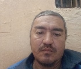Davlat Muhamedov, 41 год, Toshkent