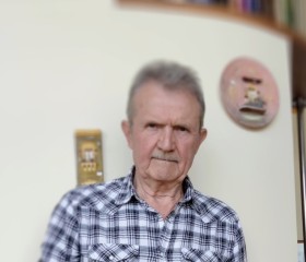 Владимир, 70 лет, Кострома