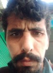ALI ASGHAR Khan, 29 лет, راولپنڈی