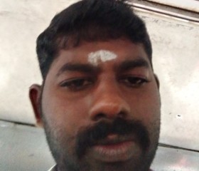 Manikandan Manik, 35 лет, Ariyalūr
