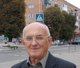 Олександр Сорока, 70 лет, Сміла