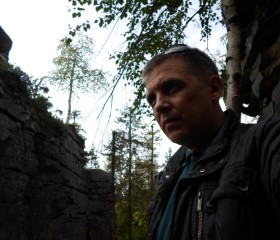Дмитрий, 47 лет, Донской (Тула)