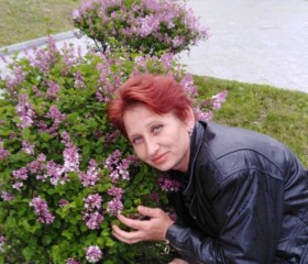 Людмила, 42 года, Спасск-Дальний