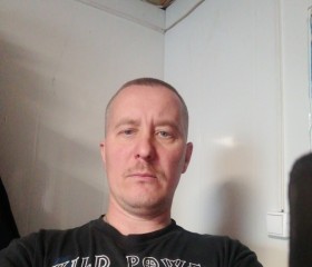 Дмитрий, 39 лет, Троицк (Челябинск)