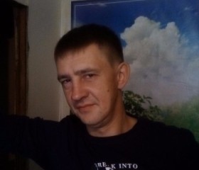 Алексей, 45 лет, Покров