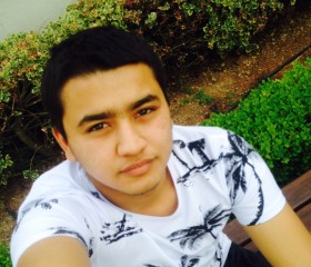 Тимур, 26 лет, Ankara
