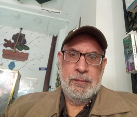 ربيع, 56, Alexandria