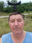 Ion, 55 лет, Sîngera