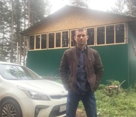 Сергей, 41 год, Пестово
