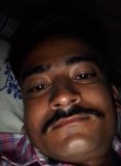 Ansul kumar, 25 лет, Faridabad