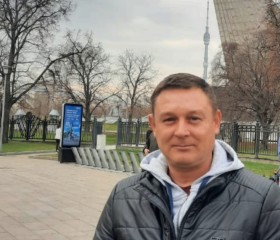 Александр Кашкин, 43 года, Ульяновск
