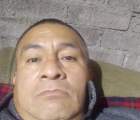 Luis alberto, 50 лет, Santa María Chimalhuacán