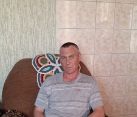 Николай, 45 лет, Шумиха